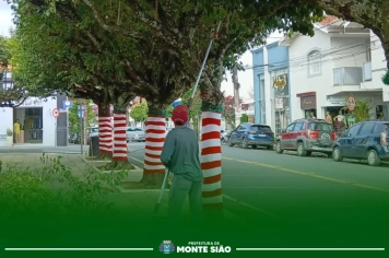 Secretaria de Agricultura Inicia Poda de Árvores e Revitalização Paisagística no Centro
