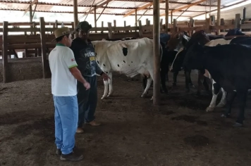 Secretaria de Agricultura apoia desenvolvimento da bovinocultura de leite em Monte Sião