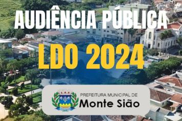 Audiência Pública Online da LDO 2024