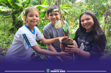 Sustentabilidade e Legado Verde Marcam o Encerramento do Projeto Jovens Mineiros