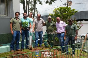 Monte Sião Promove Turismo e Conhecimento com Plantio de Café na Sede da Diretoria de Agricultura