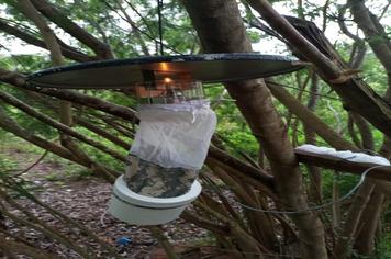 A VIGILÂNCIA EM SAÚDE DE MONTE SIÃO PRESTA INFORMAÇÕES IMPORTANTES QUANTO AO MOSQUITO PALHA