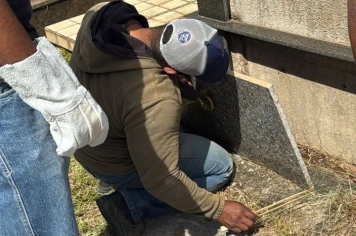 Vigilância Epidemiológica de Monte Sião realiza a captura de escorpiões no Cemitério Municipal