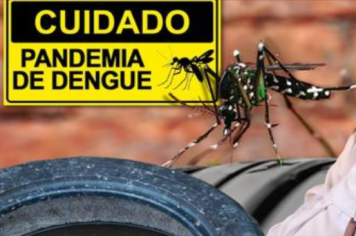 DENGUE: Essas dicas podem salvar a sua vida e de outras pessoas!