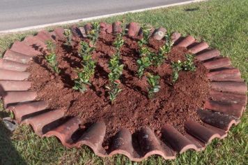 Diretoria de Agricultura, Pecuária e Meio Ambiente de Monte Sião, continua com os trabalhos de restauração e reforma dos canteiros dos trevos e praças da cidade.