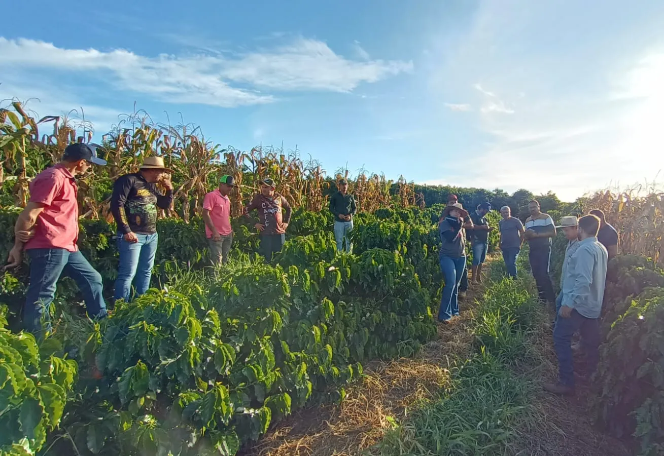 Projeto “Construindo Solos Saudáveis” atende produtores de café de Monte Sião