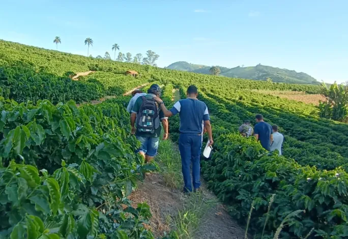 Pela primeira vez, produtores locais fornecem café para todos os prédios públicos de Monte Sião