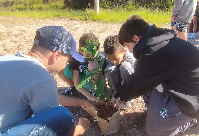Mudas em área de preservação ambiental são plantadas em Monte Sião com a participação de 90 crianças
